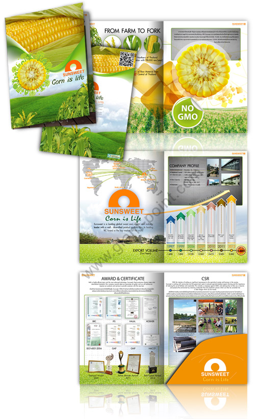 brochure design sunsweetthai