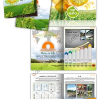 brochure design sunsweetthai
