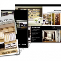 brochure design masshome