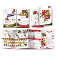 company_profile_design_sendo