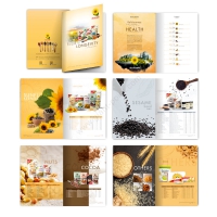 company_profile_design_lsa