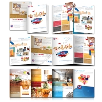 1_company_profile_toa