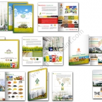 brochure_design_nanpanagri