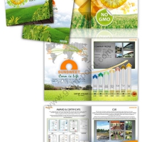 company profile sunsweetthai