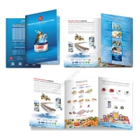 company_profile_design_app