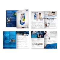 company_profile_design_lsa
