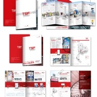 company_profile_design_tsf