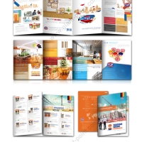 company_profile_toa