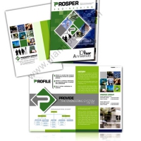 company profile porsper