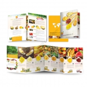 company_profile_design_dddfruit