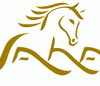 logo design 11