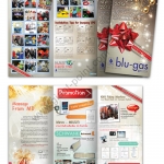 newsletter design blugas2