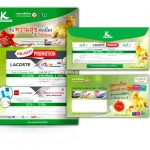 newsletter design kbank2