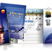 brochure design betagro