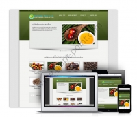 webdesign chokwallapalmoil