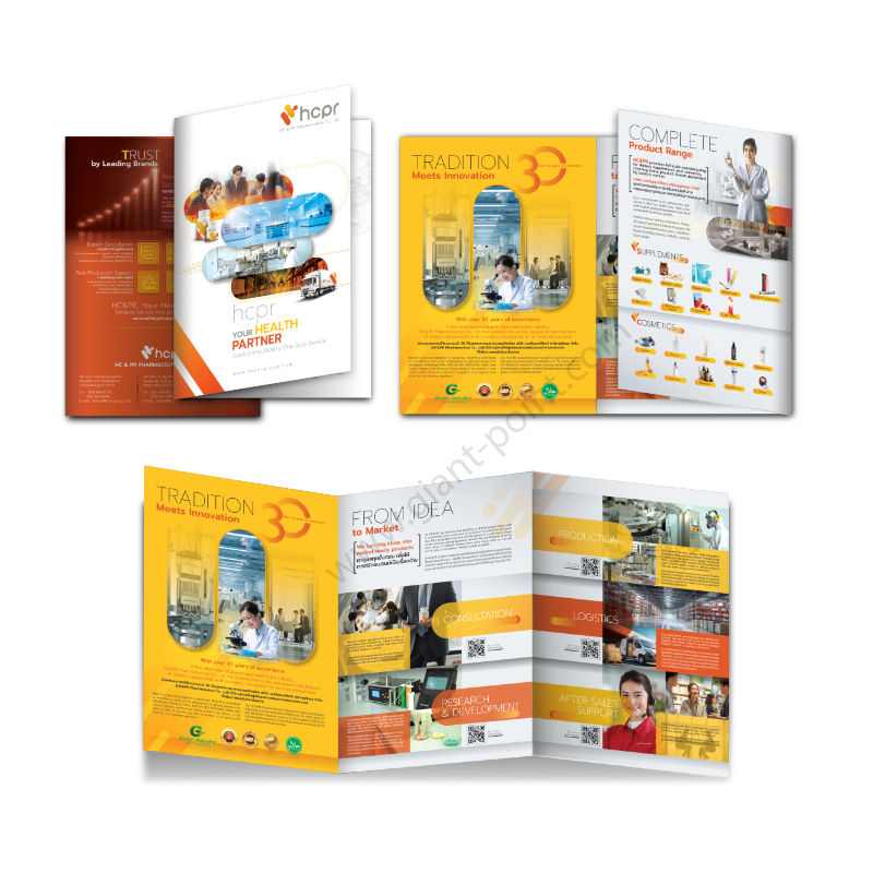 ตัวอย่าง company profile