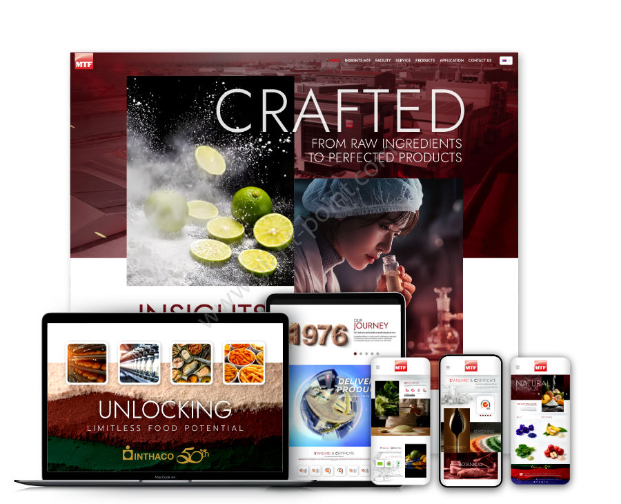 ออกแบบเว็บไซต์